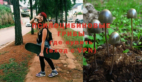 mix Корсаков