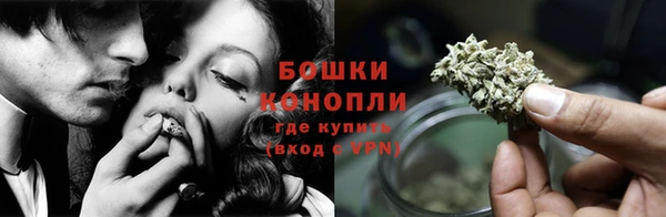 стаф Коряжма