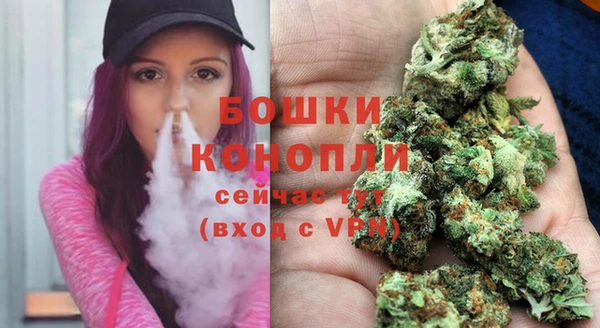 стаф Коряжма