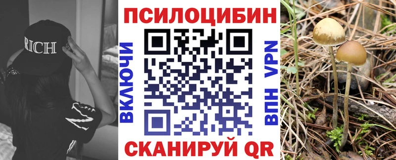 купить закладку  Кукмор  Псилоцибиновые грибы прущие грибы 
